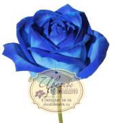 Роза из Эквадора, Синяя роза